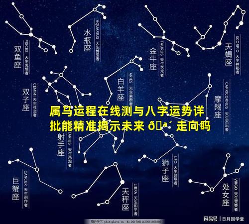 属马运程在线测与八字运势详批能精准揭示未来 🪴 走向吗